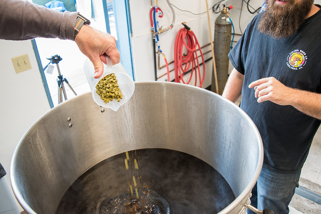 hops being added to brew